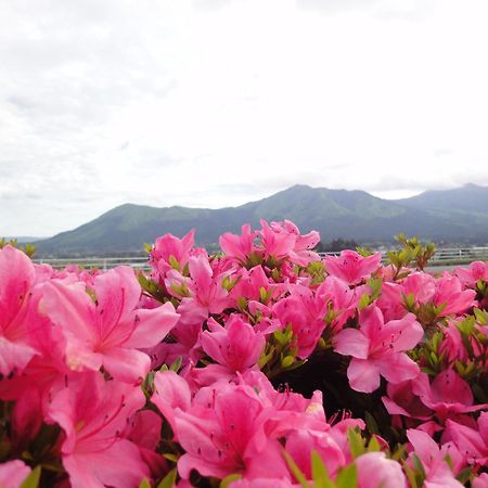 Hotel Shikino Mori Minamiaso Exterior foto